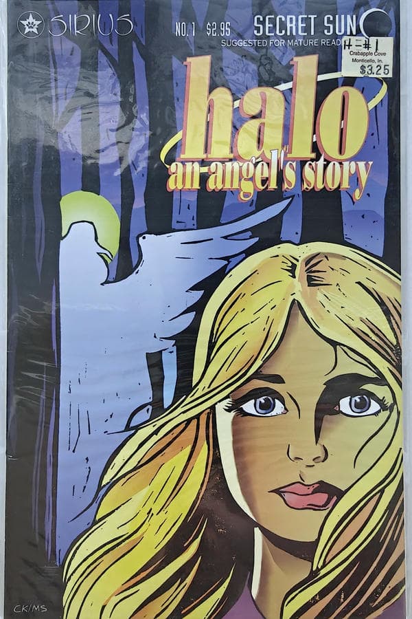 Halo: An Angel's Story #1