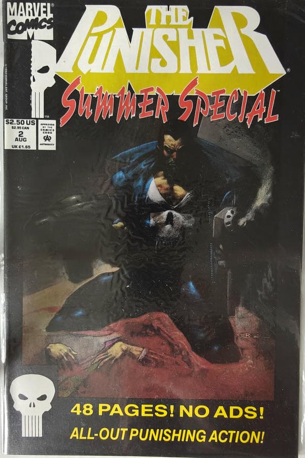 Punisher Summer Special #2