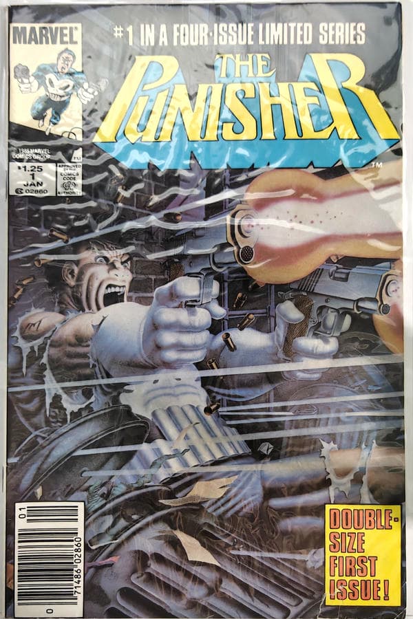 Punisher #1