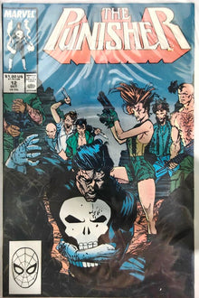 Punisher #12