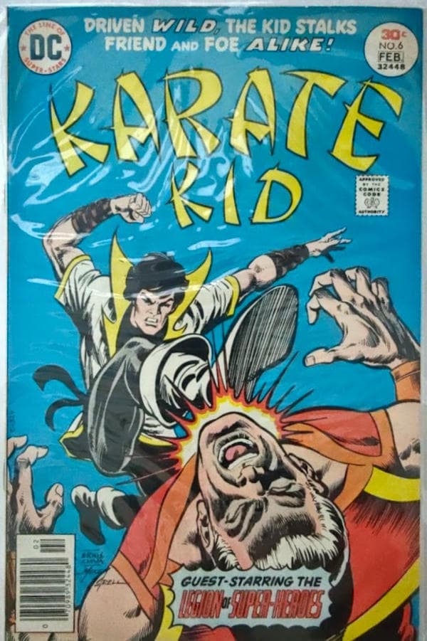 Karate Kid #6